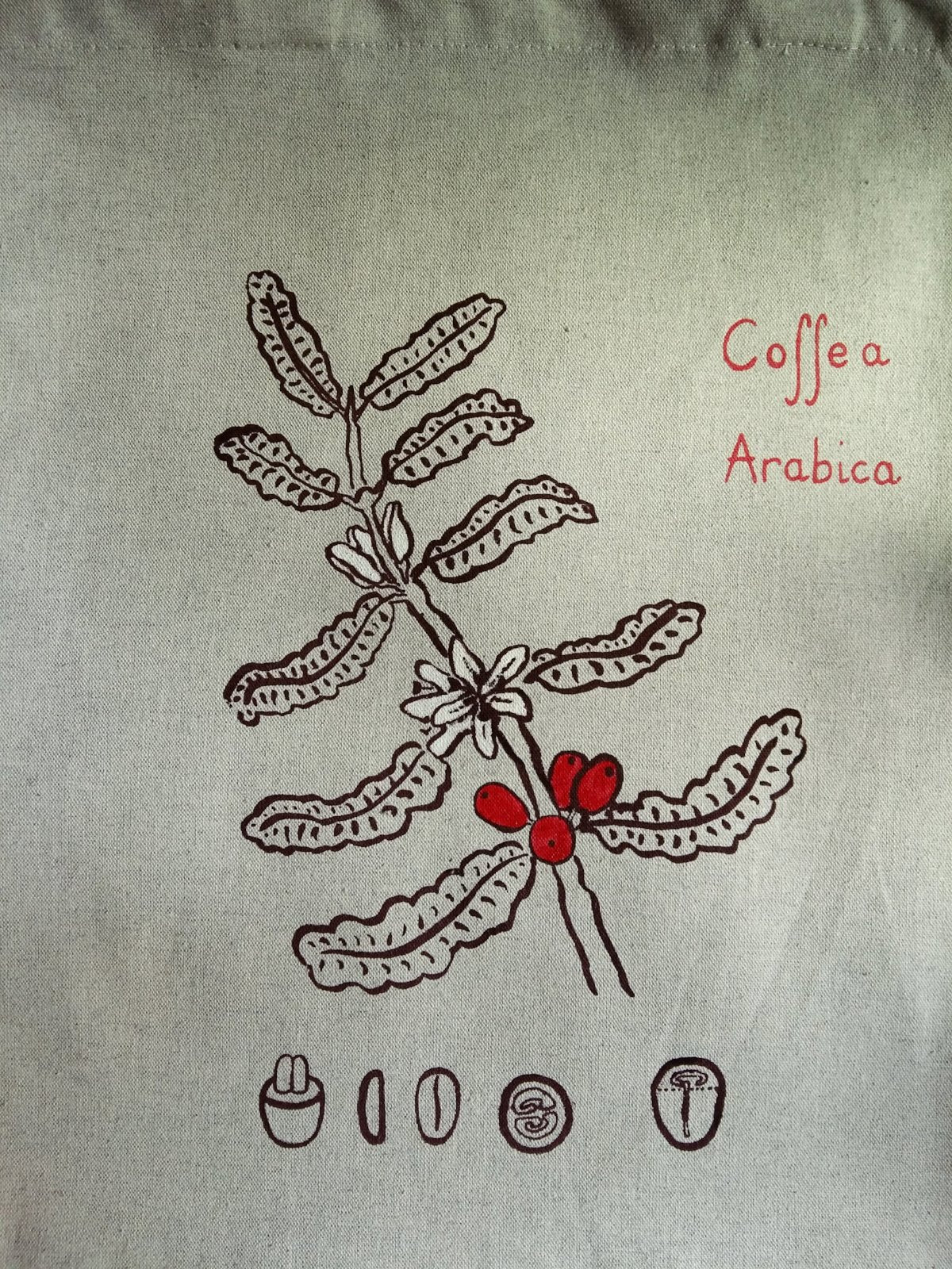ZOOM botanique botanical plate café coffee mode ethique responsable sac cabas coton biologique recycle serigraphie France renaissance creation decoration
